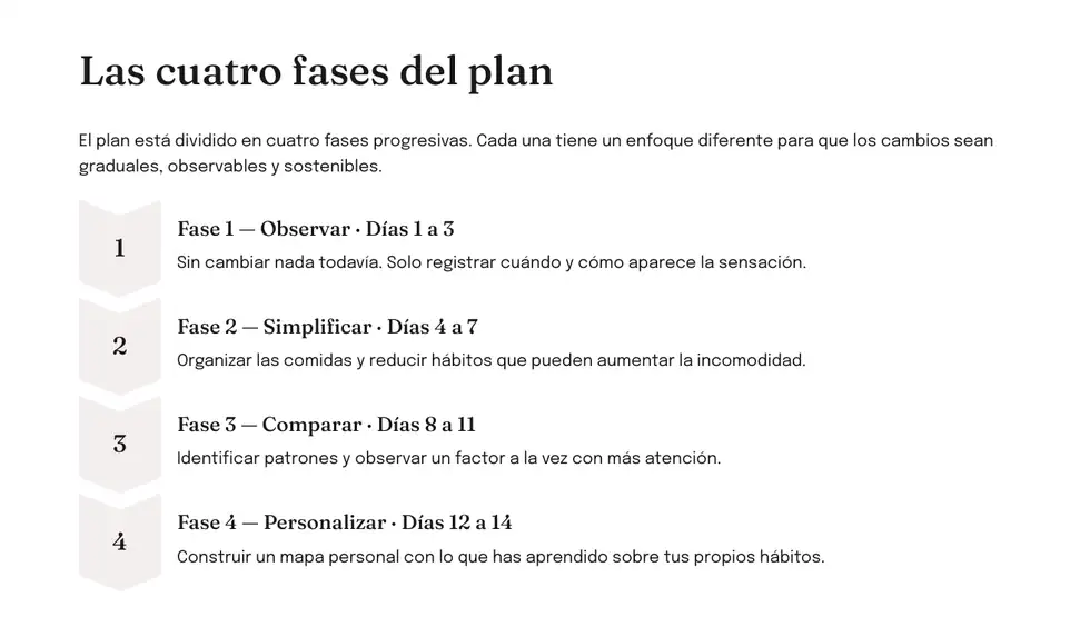 Vista interna de las cuatro fases del Plan Anti-Hinchazón 14 Días
