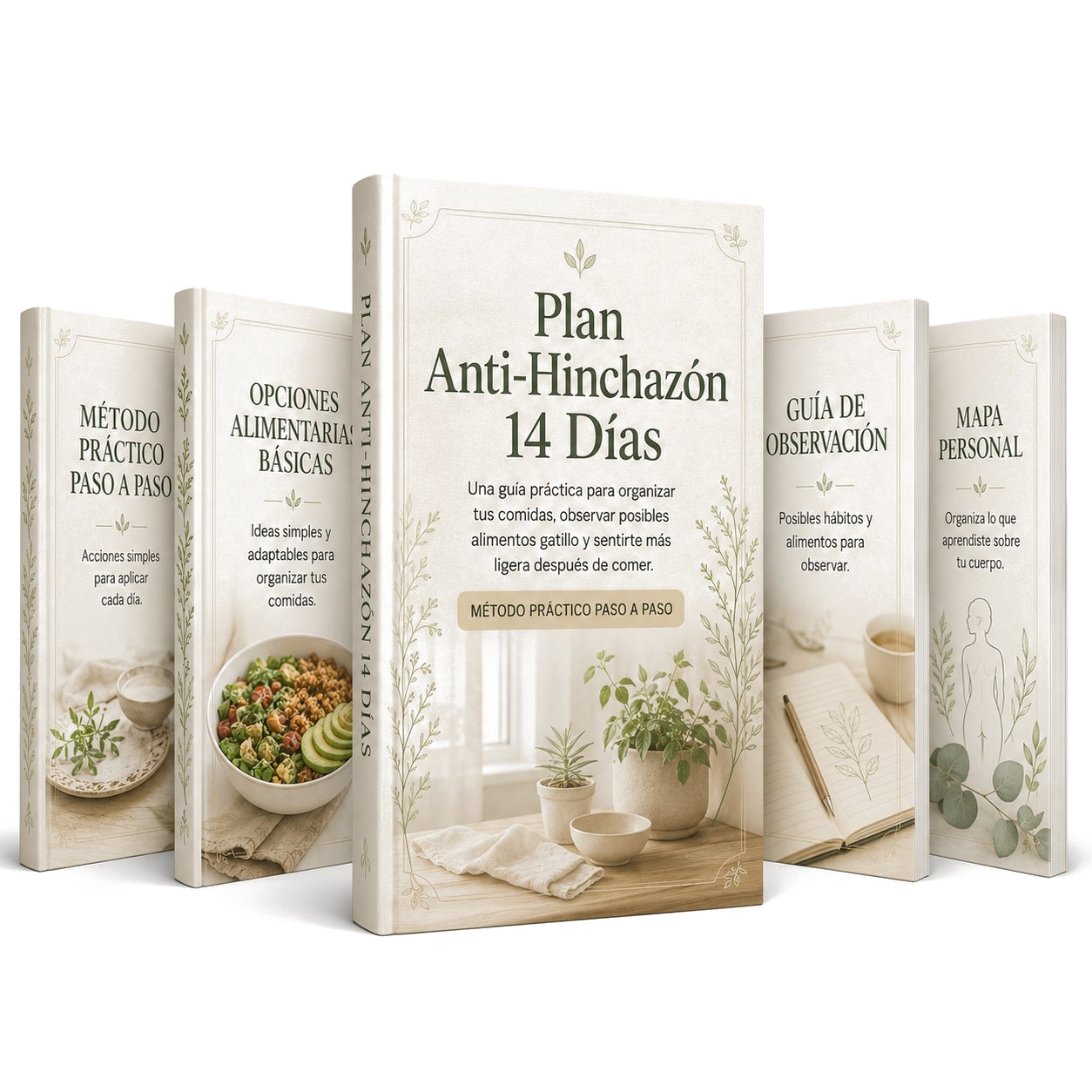 Plan Anti-Hinchazón 14 Días - mockup